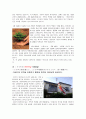 일본4주차 (일본의 국경일) 7페이지