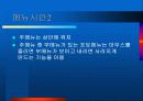 개인 홈페이지 제작 기획서- 사진_포토 10페이지