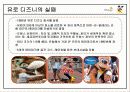 [국제경영전략론]디즈니랜드 경영전략 11페이지