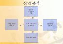[국제경영전략론]월마트 경영전략분석 11페이지