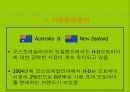 [국제경영전략론]할리데이비슨 경영전략 11페이지