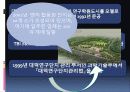 한국 대덕밸리(대덕연구단지) 6페이지