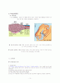  순환학습 모형을 적용한 창의성 향상 교수 _ 학습 지도안-지각은 왜 융기하고 침강할까 13페이지