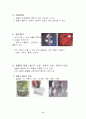 관찰_경험 학습모형을 적용한 광물 11페이지
