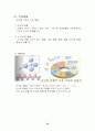 관찰_경험 학습모형을 적용한 광물 22페이지