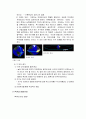 순환학습 모형을 적용한 - 지구의 자전 18페이지