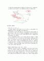 순환학습 모형을 적용한 - 지구의 자전 22페이지