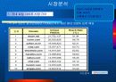 포털사이트 네이버&다음 경쟁구도 분석 3페이지