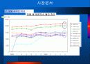 포털사이트 네이버&다음 경쟁구도 분석 4페이지