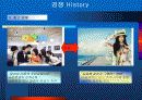 포털사이트 네이버&다음 경쟁구도 분석 8페이지