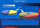 포털사이트 네이버&다음 경쟁구도 분석 11페이지