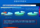 포털사이트 네이버&다음 경쟁구도 분석 12페이지