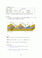  순환학습 수업모형- 지구 환경의  18페이지