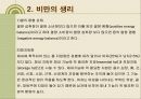 비만의 원인과 증상 및 진단법 대사변화에 대하여  3페이지