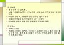 당뇨병의 식사요법 8페이지