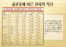 신장질환의 식사요법 18페이지