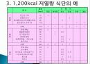 비만의 식사요법 14페이지