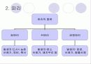 위생 동물 종류(쥐 파리 바퀴 진드기) 5페이지