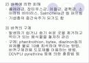 위생 동물 종류(쥐 파리 바퀴 진드기) 9페이지