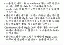 식품첨가물 23페이지