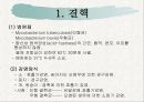 인축공통전염병 3페이지