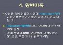 곰팡이독(mycotoxin) 6페이지