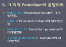 곰팡이독(mycotoxin) 8페이지