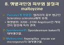 곰팡이독(mycotoxin) 11페이지