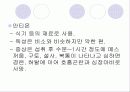 식품용 기구, 용기 및 포장의 위생 11페이지