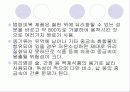 식품용 기구, 용기 및 포장의 위생 17페이지