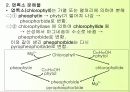식품오염물의 위생 22페이지