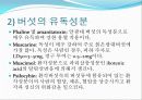 자연독식중독 3페이지