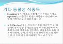 자연독식중독 10페이지