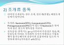 자연독식중독 11페이지