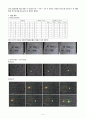 ENCODER와 DECODER 4페이지