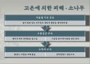 고온에서 오는 피해들 6페이지