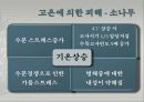 고온에서 오는 피해들 7페이지