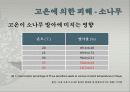 고온에서 오는 피해들 8페이지