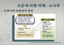 고온에서 오는 피해들 11페이지