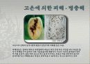 고온에서 오는 피해들 16페이지
