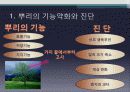 뿌리의 병과 외과수술 4페이지