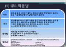 뿌리의 병과 외과수술 8페이지