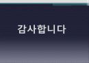 뿌리의 병과 외과수술 14페이지