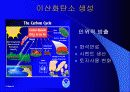 지구온난화와산성비 14페이지