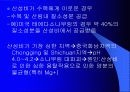 지구온난화와산성비 36페이지