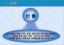 산불의과거와현재 3페이지