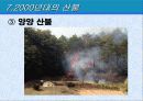 산불의과거와현재 17페이지