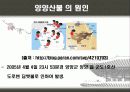 우리나라 대형산불 5페이지