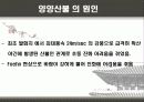 우리나라 대형산불 6페이지