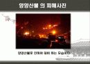 우리나라 대형산불 8페이지